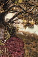 Under the Tree Fine Art Print