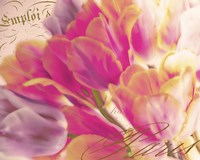 Tulip Glow Framed Print