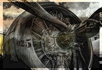 Freedom Fighter Framed Print