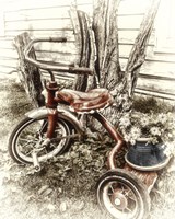 Red Tricycle Fine Art Print