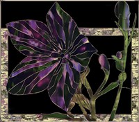 Balloon Flower Fine Art Print