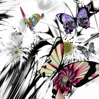 Black and White Daisies Fine Art Print