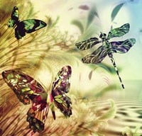 Down by Misty Creek Framed Print