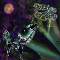 Night Safari Fine Art Print