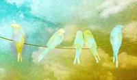 Skybirds Fine Art Print