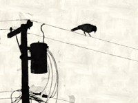 Telephone Bird Fine Art Print