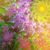 A Child's View Fine Art Print