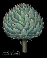 Artichoke Framed Print