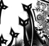 Black Cats Fine Art Print