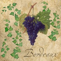 Bordeaux Fine Art Print