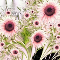 Water Sunflowers Fine Art Print