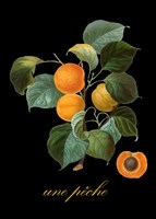 Unpeche Fine Art Print