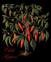 Chili Peppers Framed Print
