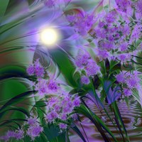Purplescape Fine Art Print