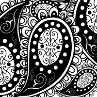 Paisley Party B/W Framed Print