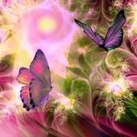 Languid Journeys Fine Art Print