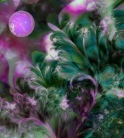 Moon In Bloom Framed Print