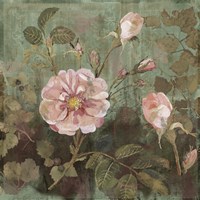 November Buds Fine Art Print