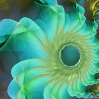 Aqua in Bloom Framed Print