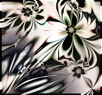 Fly by Night Fine Art Print