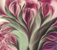 Softly Fine Art Print