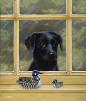 By the Window Fine Art Print