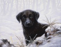 In the Snow by John Silver - various sizes