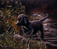 By the Creek by John Silver - various sizes