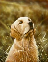 Looking Up Fine Art Print