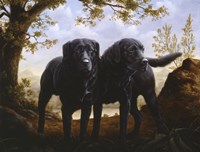 in the Woods Fine Art Print