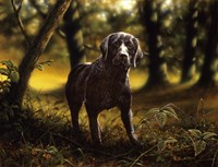 Hunting Fine Art Print