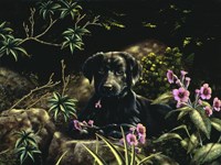 In Amongst the Flowers Fine Art Print