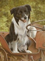 Riding Fine Art Print