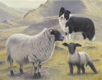 Tending the Sheep Fine Art Print
