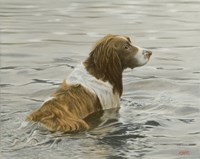 Cooling Off Fine Art Print