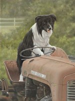 Steering Fine Art Print