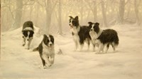 The Pack Fine Art Print