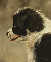 Profile Fine Art Print