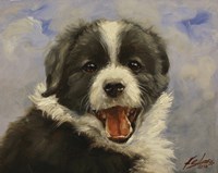 Portrait 2 Fine Art Print