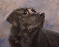 Longing Fine Art Print