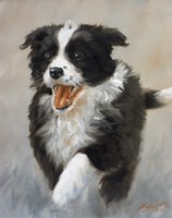 Strutting Fine Art Print