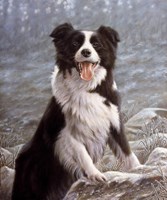 Standing Upright Fine Art Print