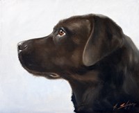 Black Lab 1 Fine Art Print