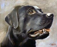 Black Lab 2 Fine Art Print