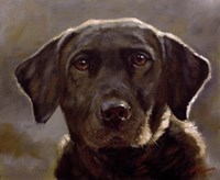 Black Lab 4 Fine Art Print