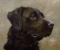 Black Lab 7 Fine Art Print