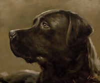 Black Lab 9 Fine Art Print