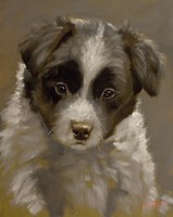 Puppy 2 Fine Art Print