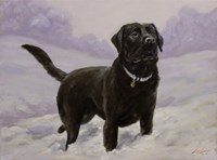 Black Lab 10 Fine Art Print