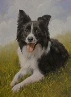 Border Collie 8 Fine Art Print